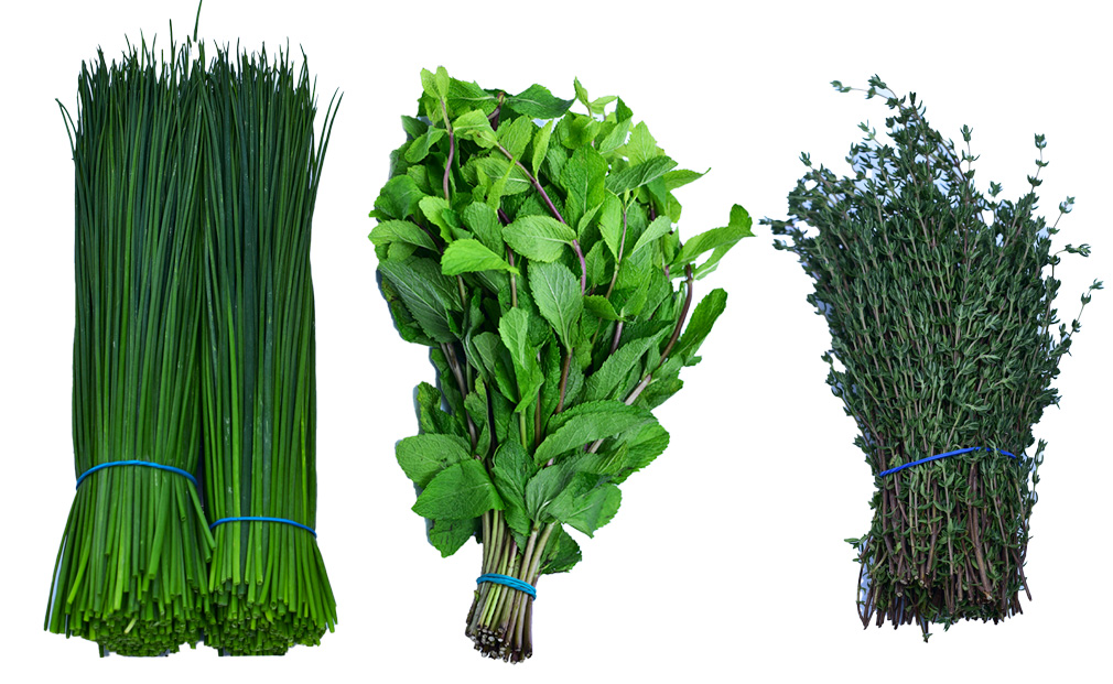 herbs-kenya-fresh-produce-exporters